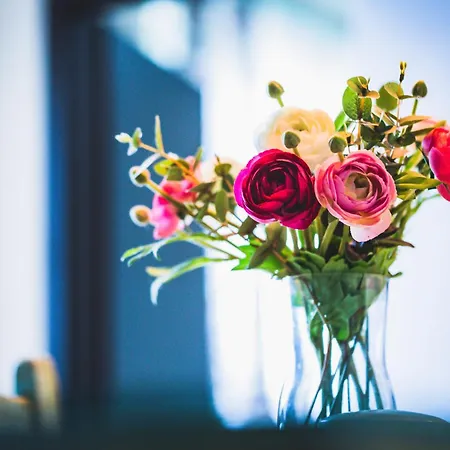 Ferde és Appartamento