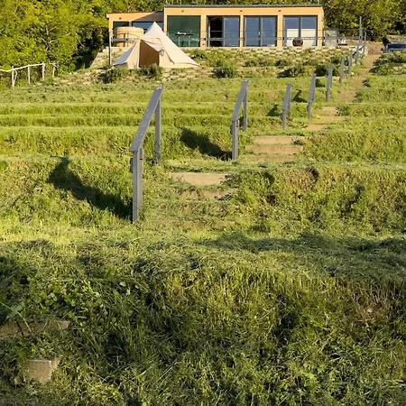 Ferde és Appartamento *