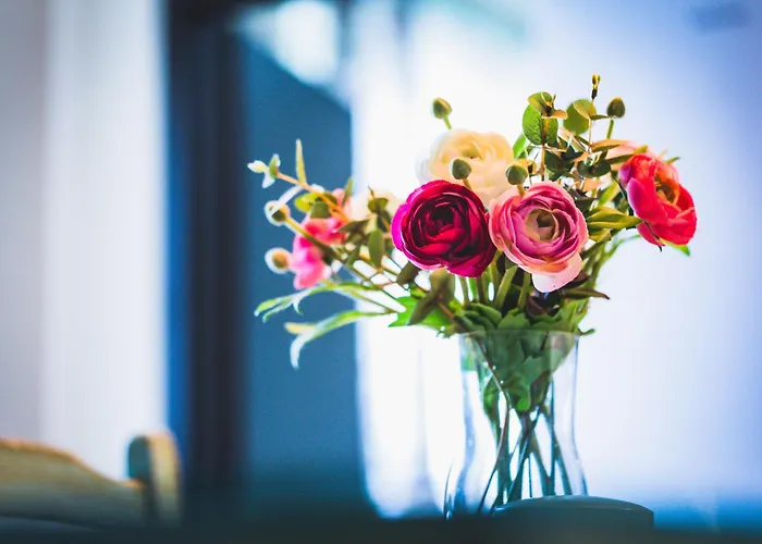 Ferde Es Apartamento