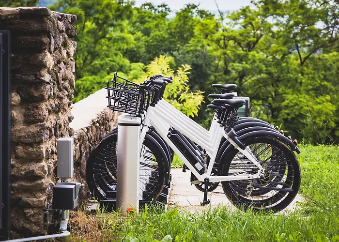 Ferde Es Apartamento