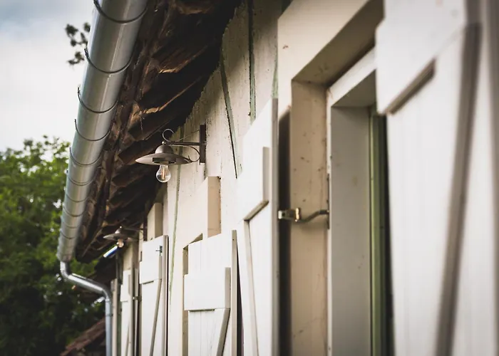 Ferde Es * 카폴츠